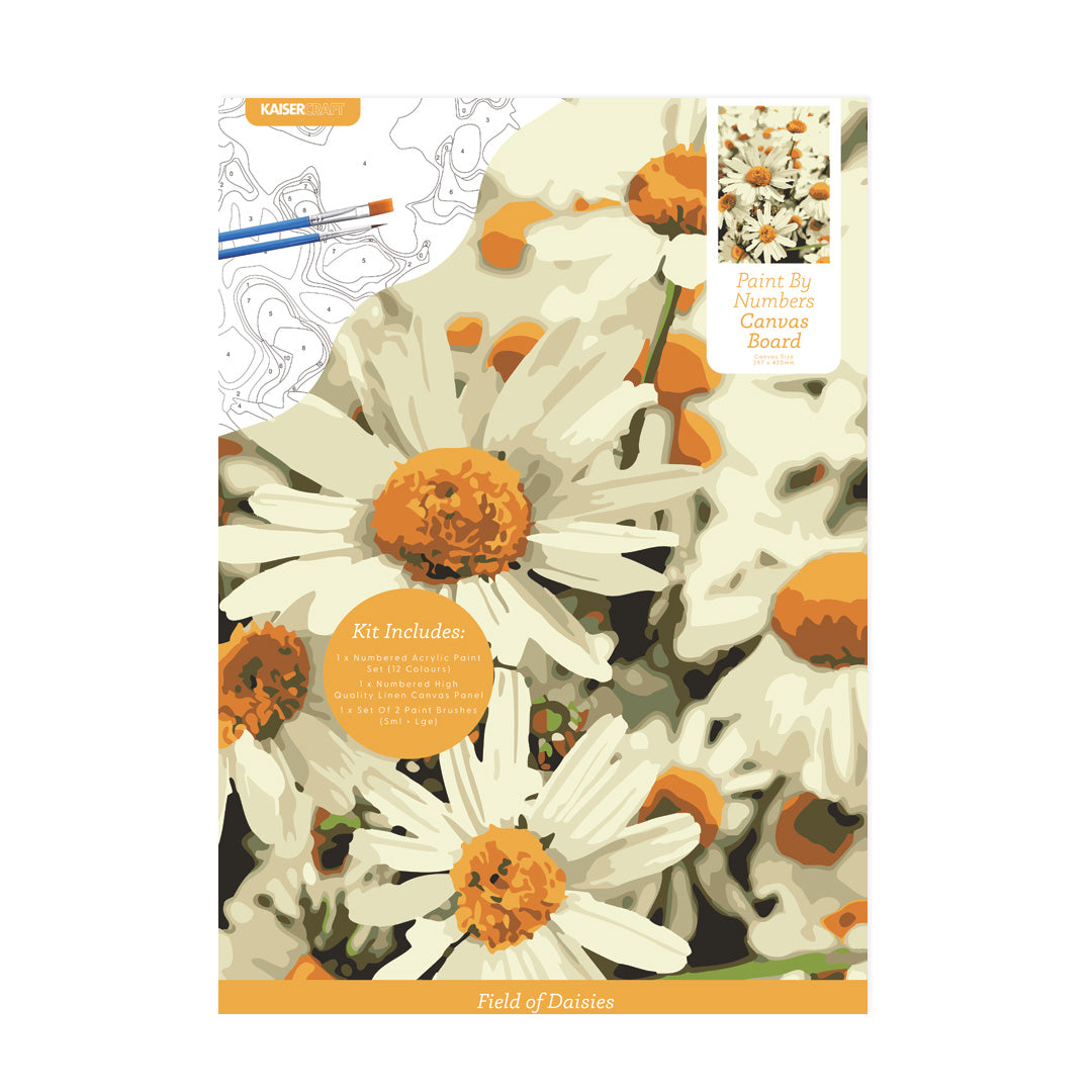 Paint By Numbers A3 Canvas Board - Field Of Daisies